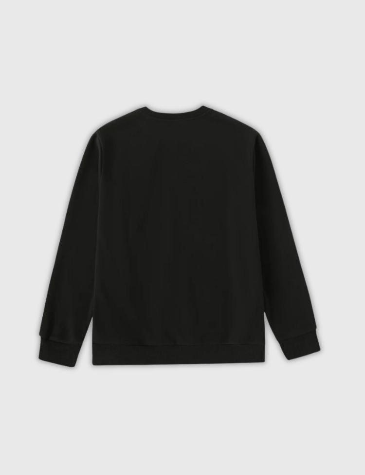 japanese-crewneck-sweatshirt_2.png