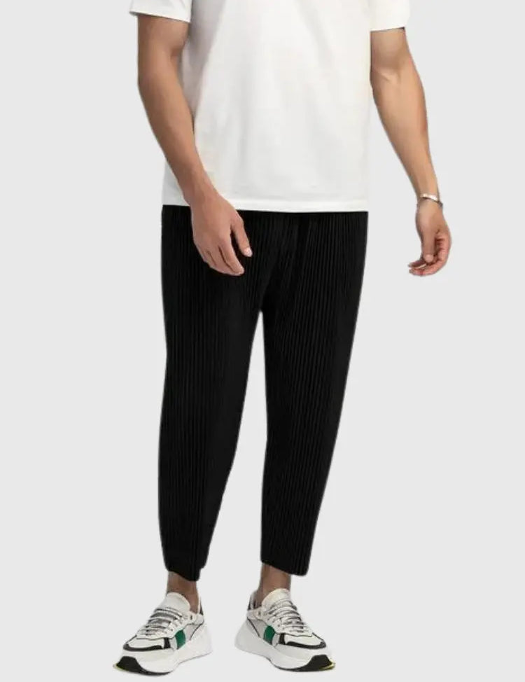 Pleated Pants Mens