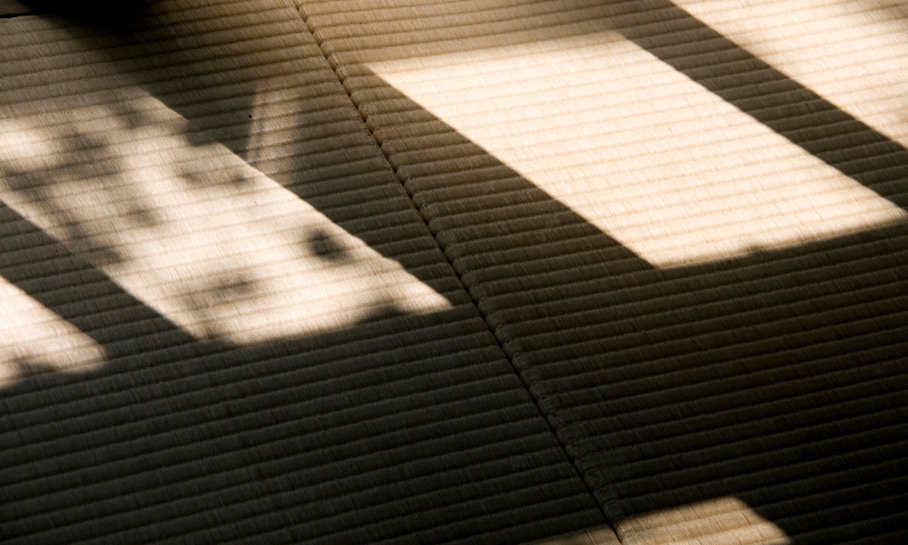 Tatami Mats: 15 Things to Know Before Buying One (Sizes, Materials, History & Care)