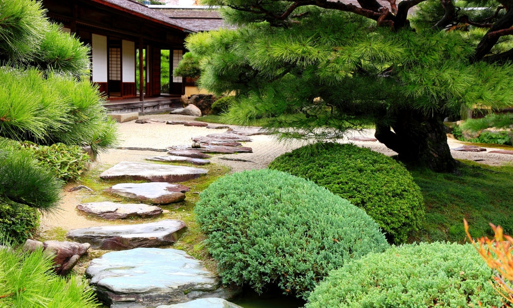 Japanese garden with stepping stones, moss and clipped shrubs