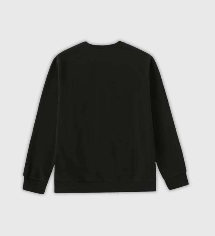 japanese-crewneck-sweatshirt_2.png