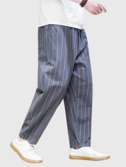 Streetwear Society Pants 'Leoy Sempere'