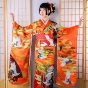 Women's Furisode Kimono 'Fushiki'