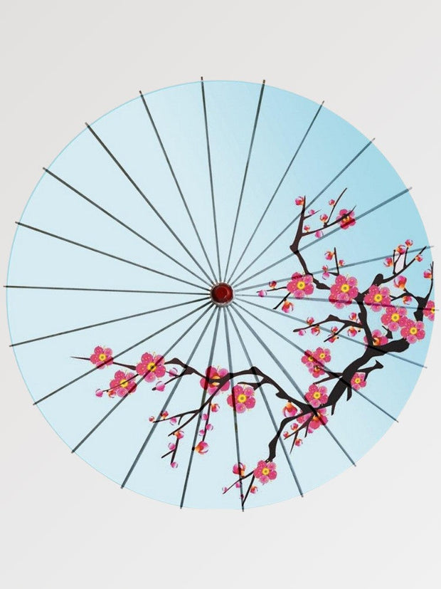 Japanese umbrella cherry blossoms
