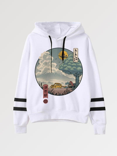 totoro hoodie